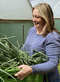 Silver Apples Photography home page image 6